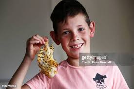 27 Patrick Petterson Stock Photos, High-Res Pictures, and Images