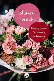 Blumensprache Welche Blume Hat Welche Bedeutung Plantura Bedeutung Von Blumen Blumen Rosen Bedeutung
