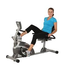 The bike is sturdy and well made. Bike Pic Marcy Magnetic Recumbent Bike