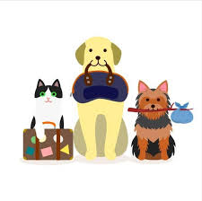 2 convenient houston locations off holcombe and w 34th. Pet Express Llc Home Facebook