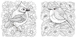 Coloring pages for adults flowers. Adult Coloring Pages Two Birds Among Beautiful Flowers Line Art Design For Antistress Colouring Book In Zentangle Style Vector Illustration Royalty Free Cliparts Vectors And Stock Illustration Image 146991224