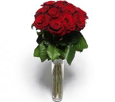 De roos is het symbool van de liefde heb je jouw favoriete bos rozen gevonden? Rozen 12 Stuks
