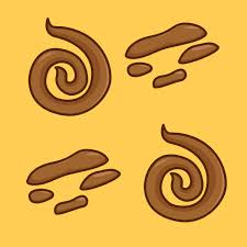 Image result for thin ribbon stools human poop