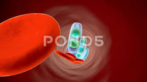 medical substances floating in the bloodstream stock footage floating substances medical footage floating medical substances
