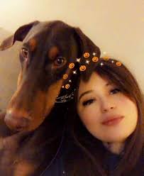 Are your super fans excited for Dog Man: Big Jim Begins? Meet the Cast and  get ready to go