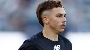 AFL investigating St Kilda youngster Lance Collard over anti-gay slurs