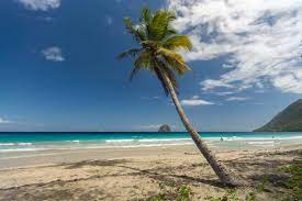 Il sera appliqué «de 5 heures à 19 heures» et commencera. Die Schonsten Strande Auf Martinique Reisen Exclusiv