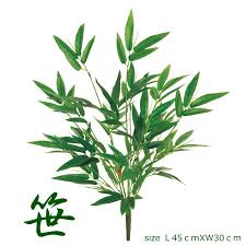 楽天市場 笹 竹 七夕 笹 枝 葉 950円 1000円以下 全長45ｃｍ 7月 6月 装飾 お祭り バンブー大枝 1本売り 大量注文可能 領収書発行 笹 飾り 笹 七夕 笹草 人工観葉植物 フェイクグリーン 和室 旅館 料亭 和食 装飾 笹 ディスプレイ グリーン マンション 造花の専門店