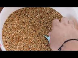 Muhabbet Kusu Uretim Hane Kendi Yemini Kendin Yap Youtube