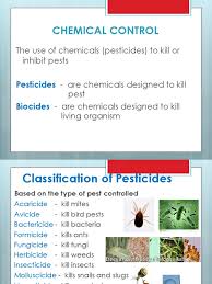 A pest is anything that: Chemical Control Pesticide Insecticide