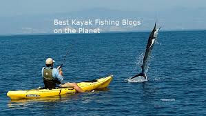 Kayak is one of the web's largest travel search engines, but it doesn't not include every provider. Top 45 Kayak Fishing Blogs Websites Influencers In 2021