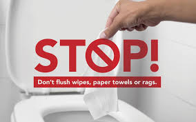 A smartphone with a white screen for advertising about plumbing. Do Not Flush Paper Towels Wipes Or Facial Tissues They Clog Your Pipes And Our Pumps Dcwater Com