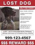 Image result for lost dog signs