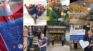 If the patient is taking rest at home, you can still send get well flowers for him to make their day brighter and healthier. Flowers Of Hope Kenya Flamingo