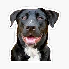 Lab Mix Stickers for Sale