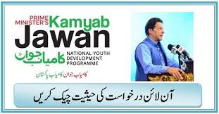 Pm Kamyab Jawan Yes Check Status Of Online Application In 2020 Online Application Check And Balance Online Application Form