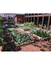 There are space recommendations also which will help you to decide how many plants of tomatoes you can grow in a raised bed. Cedar Raised Bed Kit 4x4 Gardens Of Babylon