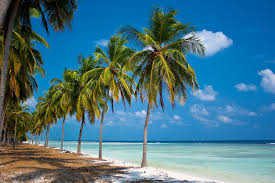 India's smallest union territory lakshadweep is an archipelago consisting of 36 islands with an area of 32 sq km. Lakshadweep Islands Definition Und Bedeutung Collins Worterbuch
