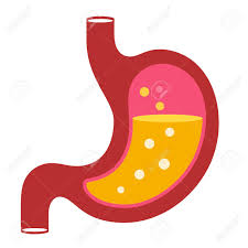 Stomach Vector Cartoon Icon Isolated On White Background Royalty Free Cliparts Vectors And Stock Illustration Image 121012785 Find & download free graphic resources for cartoon background. stomach vector cartoon icon isolated on white background