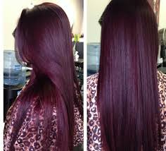You can apply it to dry hair if you want a more vibrant color. Deep Plum Purple Hair Color