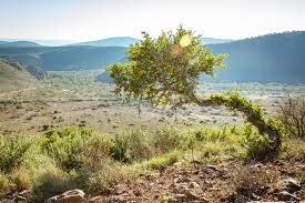 However, this didn't happen overnight. It Is The Time For Nature World Environment Day 2020