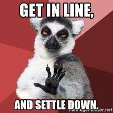 Get In Line And Settle Down Chill Out Lemur Meme Generator