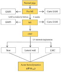 The Flow Chart Of Our Study Mi Myocardial Infarction Gmpi