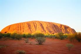 We did not find results for: Marek Niedzwiecki