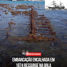 Jornal Folha De Búzios | Neste domingo (18), duas baleias-fin (Balaenoptera  physalus), a segunda maior espécie do planeta, foram avistadas em águas de  Arraial do... | Instagram