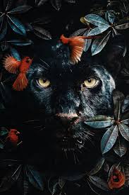 Panther Akoestisch Paneel 80x120 Cm In 2020 Zwarte Panter Dieren Behang Dieren Mooi