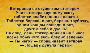 pin by svetlana hrenova on yumor smeshnye kartinki anekdoty humor tbl