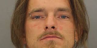 Windsor Township man charged with assaulting police officer