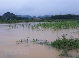 Strength category 1 minute maximum sustained winds; Dá»± Bao Co Nhá»¯ng CÆ¡n Bao Máº¡nh áº£nh HÆ°á»Ÿng Trá»±c Tiáº¿p Ä'áº¿n Viá»‡t Nam Moi TrÆ°á»ng Vietnam Vietnamplus