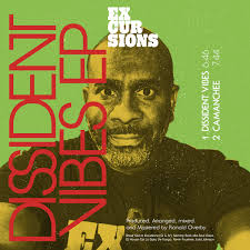 Dissident Vibes (Vinyl Only)