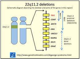 Digeorge syndrome, also known as 22q11.2 deletion syndrome, is a syndrome caused by the deletion of a small segment of chromosome 22. Chromosomal Deletion Syndrome Wikipedia