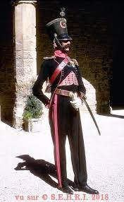 Officier Chasseur A Cheval Military General Military Coat Napoleonic Wars