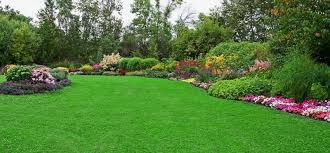 Overseed to improve grass density, fill bare patches and enhance color. 12 Best Fertilizer For St Augustine Grass 2021 Garden Mega