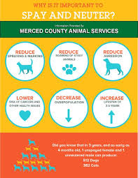 Animal shelter adopt a pet; Spay Neuter Merced County Ca Official Website