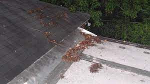 Maybe you would like to learn more about one of these? Troubleshooting Leaks On A Sunroom Aluminum Flat Roof Youtube