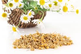 A friend told me that it is good for a baby's skin. The Link Between Chamomile Tea Sleep The Sleep Judge