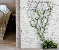 5 out of 5 stars (317) $ 9.00. The Best Indoor Vines And Climbers That Are Easy To Grow Top Dreamer
