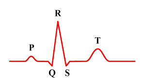 Image result for Electrocardiogram
