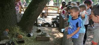 Cea mai tânără gradină zoologică a româniei a reunit pentru vizitatorii ei în cadrul celor 16 habitate 29 specii însumând un număr de 144 de animale. Se Deschide Gradina Zoologica Din Timisoara De 1 Iunie Intrarea E