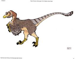 Girls are usually interested in cute animals. Botm Build A Raptor Inspiration Thread
