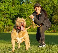World's Largest American Bully: Manmade Kennels King Leonidas Jr, the  Sensational XXL Red Nose Pitbull