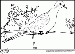 Free, printable mandala coloring pages for adults in every design you can imagine. Dove Coloring Pages Coloring Home