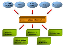 Role Of Cytokines In Cancer