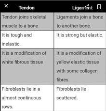 Ligaments and tendons difference