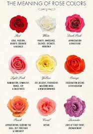 Scientific name is freesia refractor. Hand Embroidered Rose Necklace Handmade Embroidery Jewelry Etsy Rose Color Meanings Different Color Roses Rose Meaning