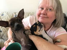 Fall season excitement and activities in Atlanta